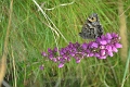 09 08 12_3689_edited-1